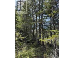 Lot CL4 Palmer Road, West Wentworth, Nova Scotia