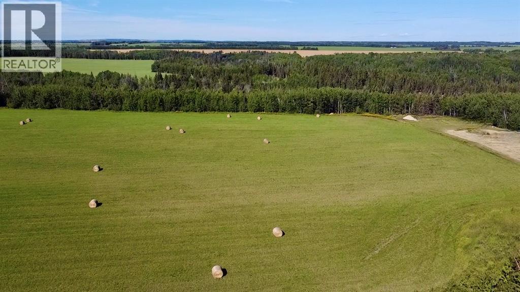 Range Road 225 Canyon Road, Rural Athabasca County, Alberta  T9S 2A4 - Photo 5 - A2292383