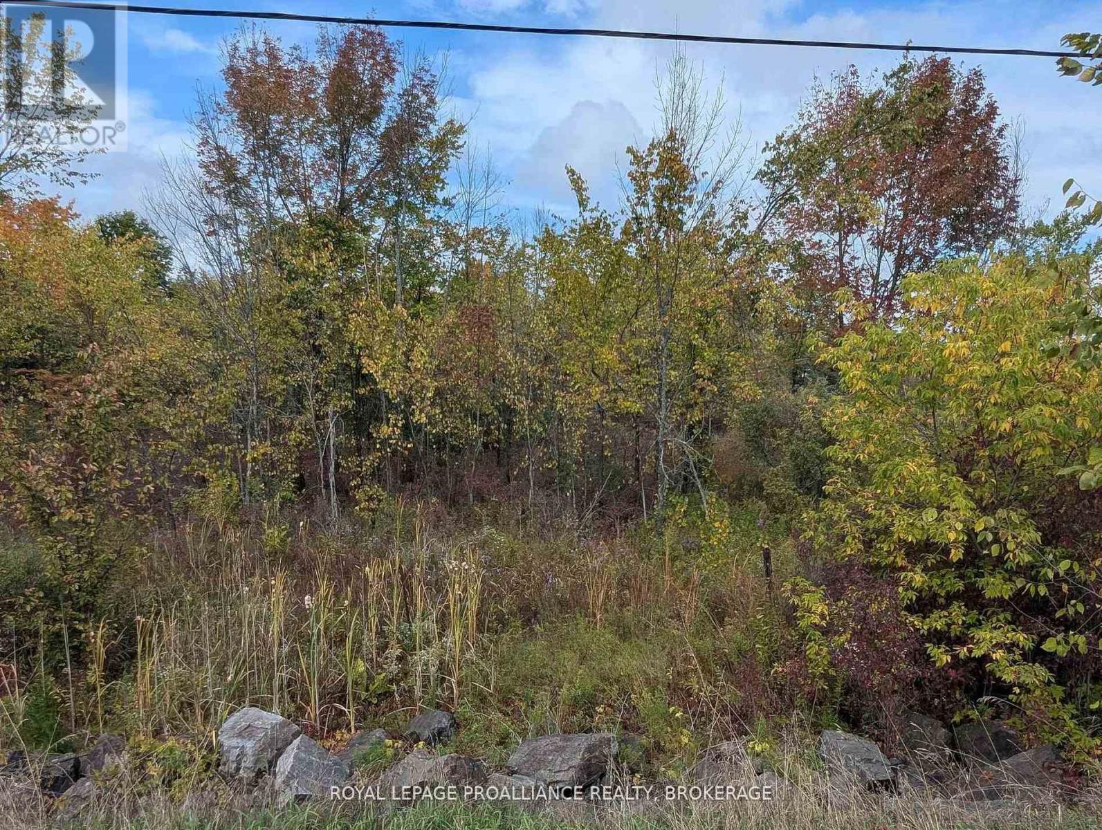 Lot 34 Leo Lake Road, Kingston, Ontario  K0H 2N0 - Photo 15 - X13422634