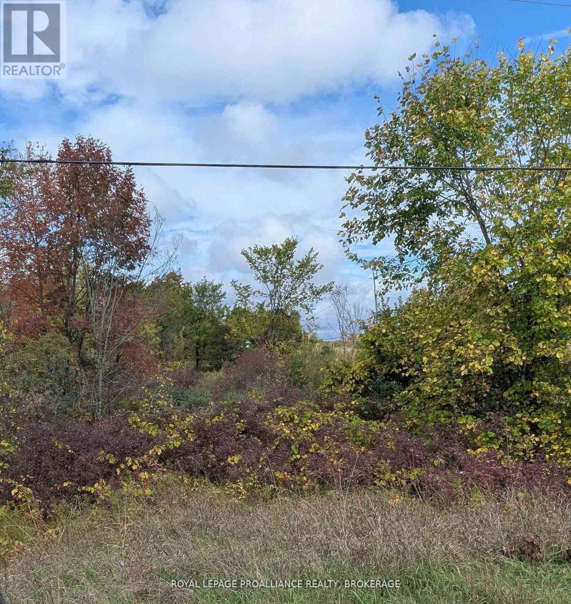 Lot 34 Leo Lake Road, Kingston, Ontario  K0H 2N0 - Photo 4 - X13422634