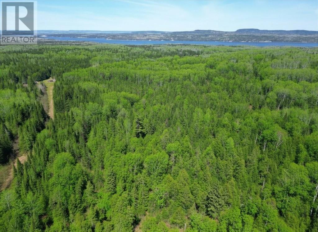 Pcl 19519 Cameron Falls Road, Nipigon, Ontario  P0T 2J0 - Photo 12 - TB2601295