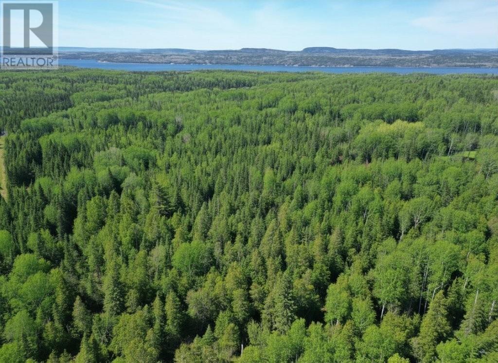 Pcl 19519 Cameron Falls Road, Nipigon, Ontario  P0T 2J0 - Photo 3 - TB2601295
