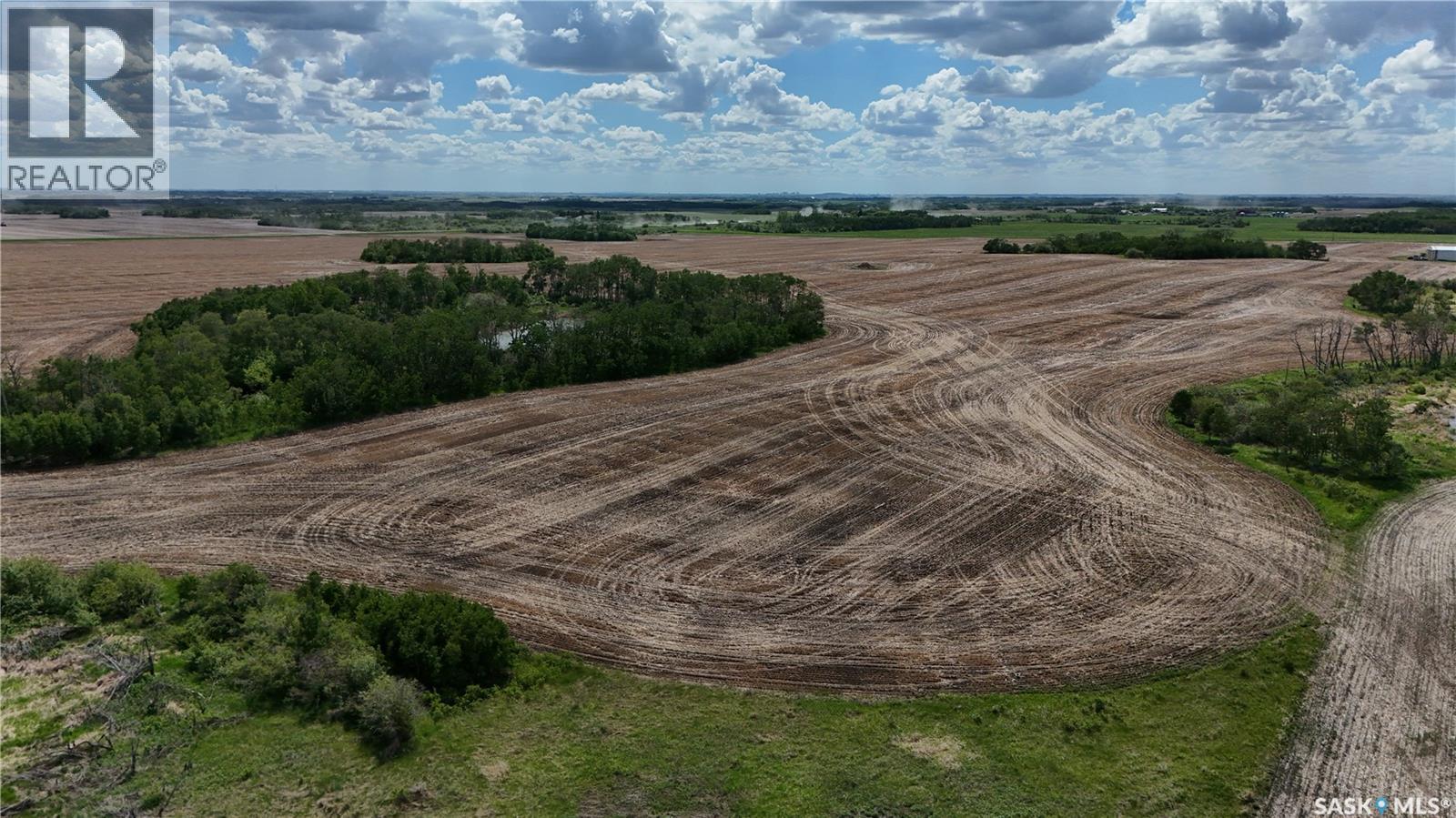 Sw 06-19-17 W2 Ext 1 - Zehner, Edenwold Rm No.158, Saskatchewan S0G 5K0 - Photo 10 - SK038641