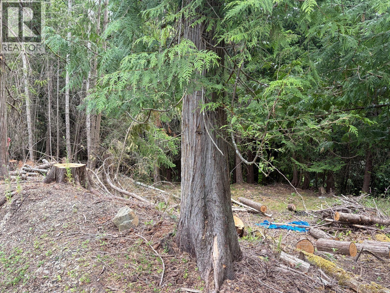2602 Gunwhale Rd, Pender Island, British Columbia  V0N 2M2 - Photo 5 - 1039258