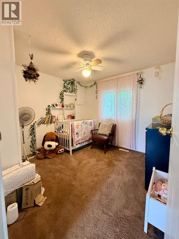 10509 102a Street, La Crete, Alberta  T0H 2H0 - Photo 29 - A2318885