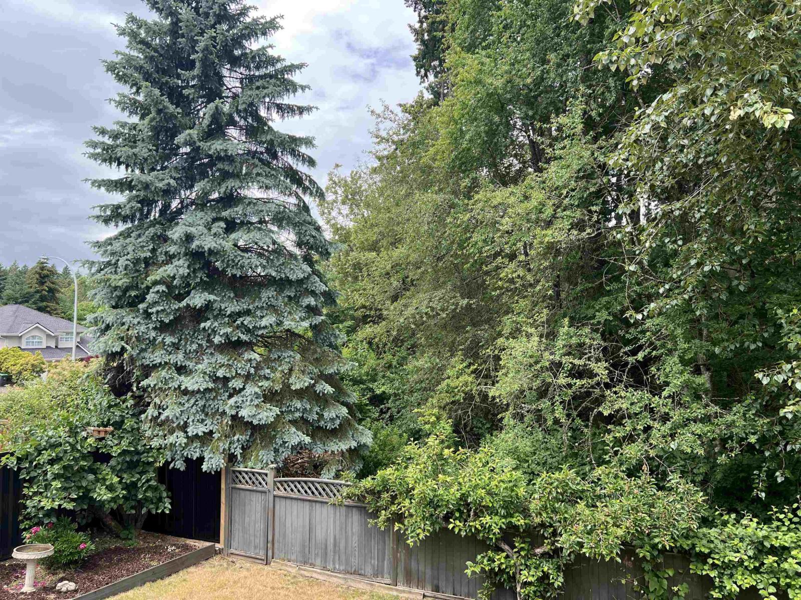 14915 25a Avenue, Surrey, British Columbia  V4P 1N7 - Photo 33 - R3133156