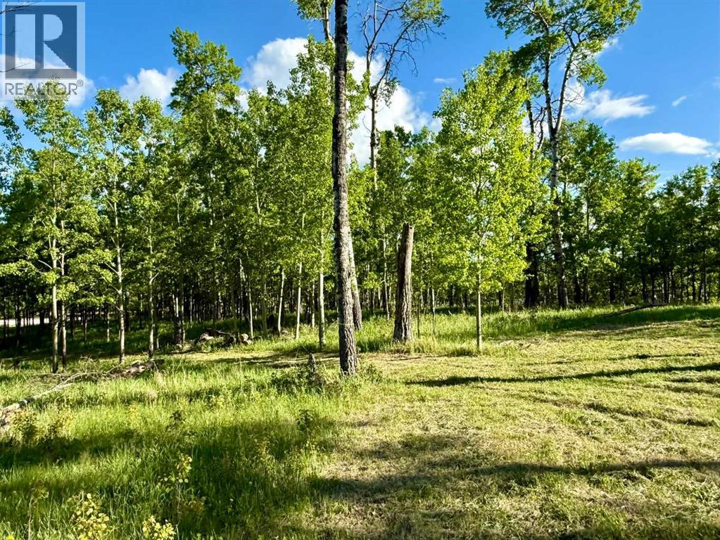 3, 5228 Highway 579, Rural Mountain View County, Alberta  T0M 2E0 - Photo 12 - A2282234