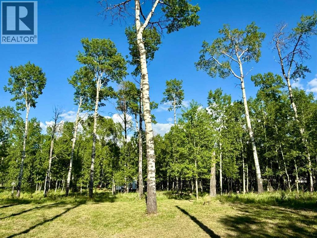 3, 5228 Highway 579, Rural Mountain View County, Alberta  T0M 2E0 - Photo 14 - A2282234