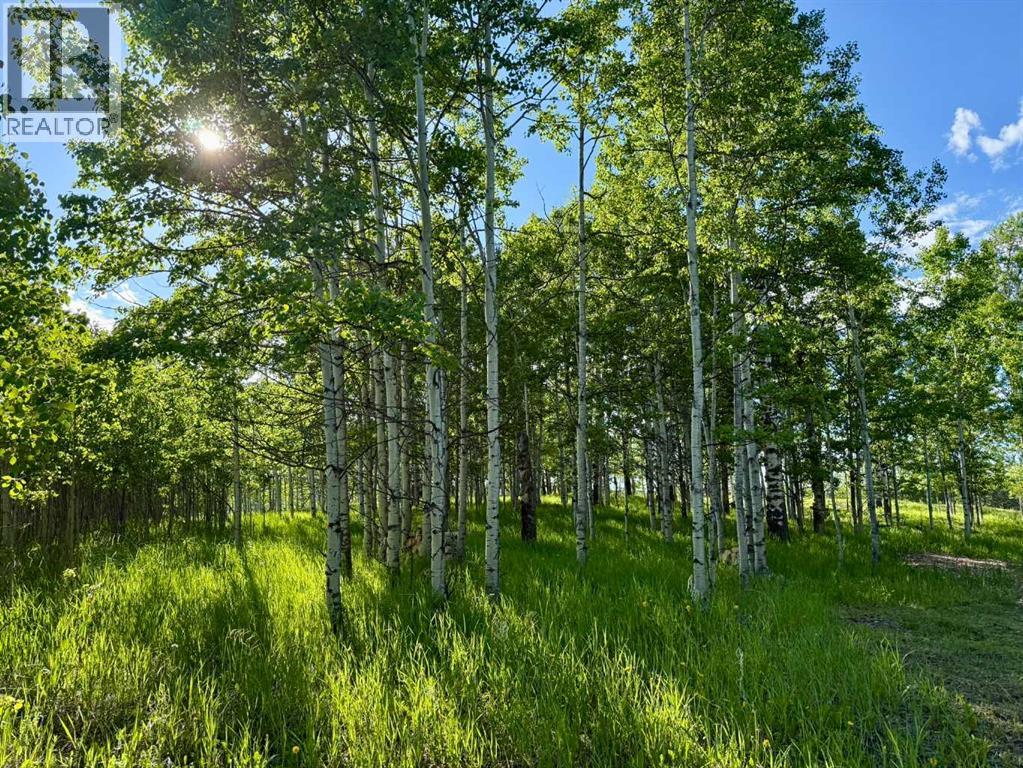 3, 5228 Highway 579, Rural Mountain View County, Alberta  T0M 2E0 - Photo 2 - A2282234