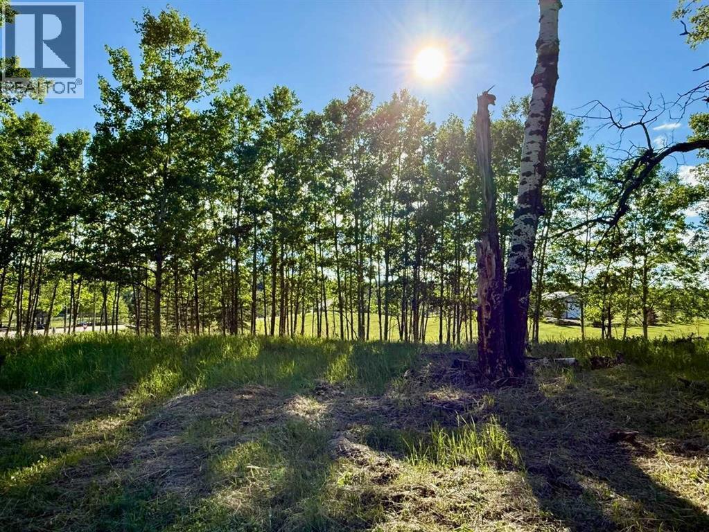 3, 5228 Highway 579, Rural Mountain View County, Alberta  T0M 2E0 - Photo 13 - A2282234