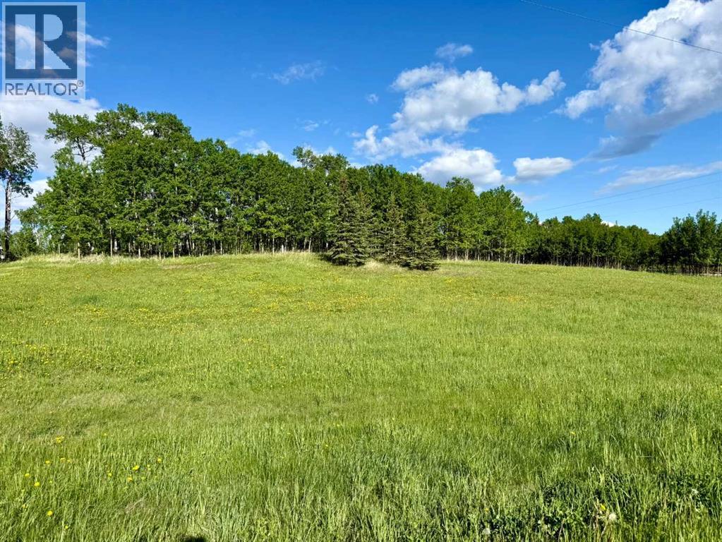 3, 5228 Highway 579, Rural Mountain View County, Alberta  T0M 2E0 - Photo 3 - A2282234