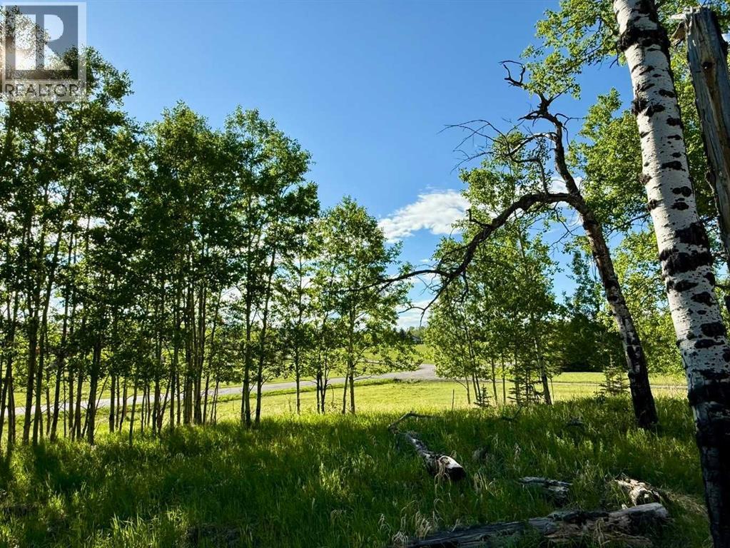 3, 5228 Highway 579, Rural Mountain View County, Alberta  T0M 2E0 - Photo 16 - A2282234