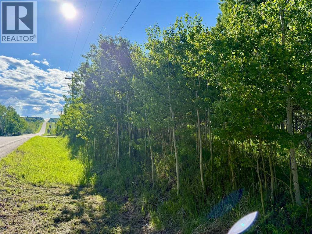 3, 5228 Highway 579, Rural Mountain View County, Alberta  T0M 2E0 - Photo 15 - A2282234