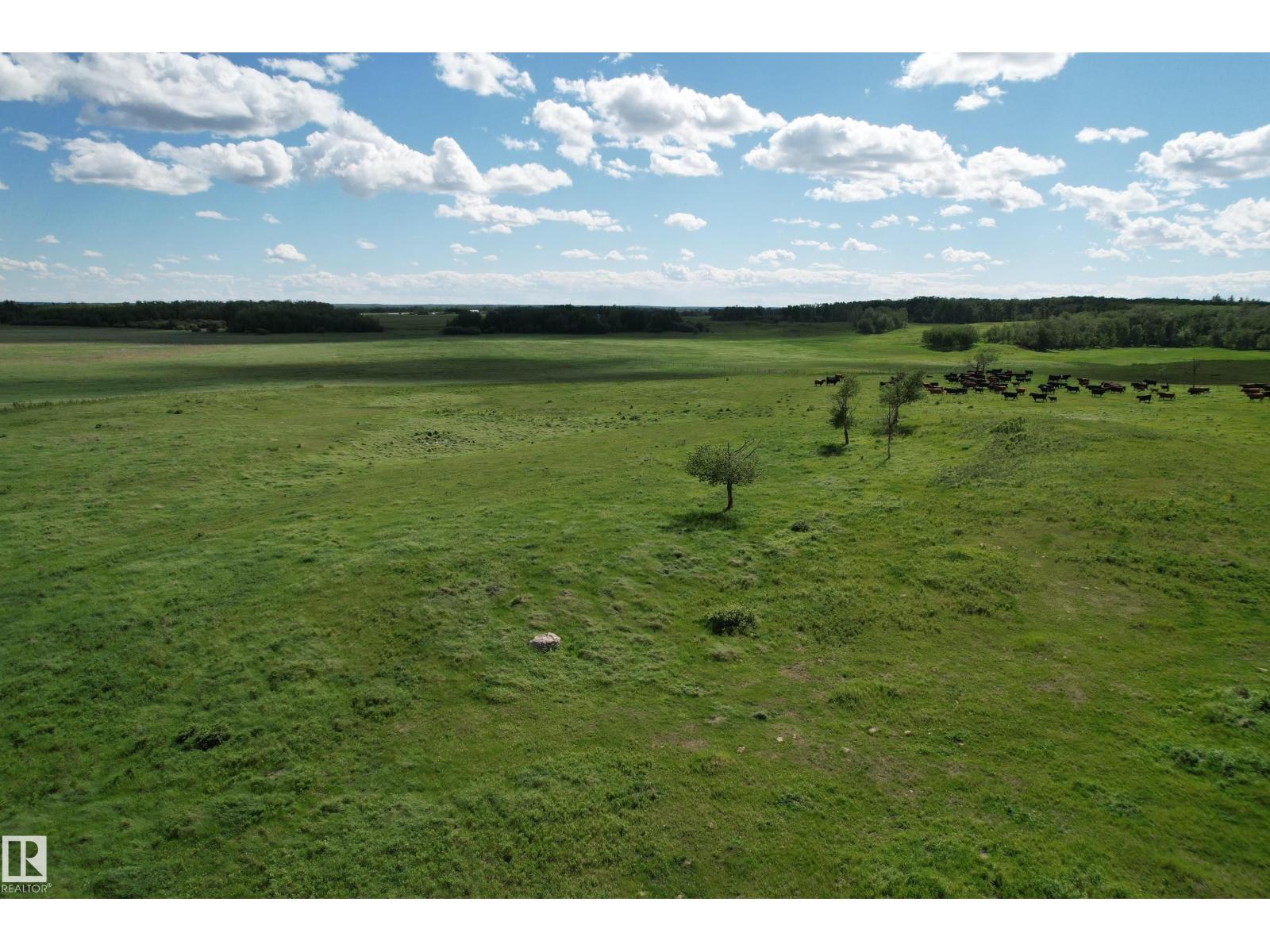 Rr 215 & Twp Rd 520, Rural Strathcona County, Alberta  T8G 1B9 - Photo 22 - E4476062