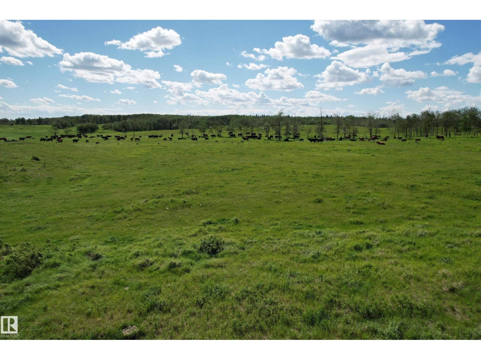 Rr 215 & Twp Rd 520, Rural Strathcona County, Alberta  T8G 1B9 - Photo 21 - E4476062