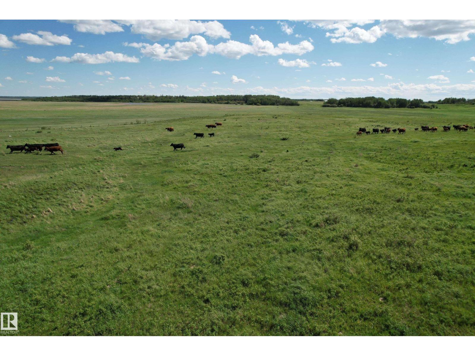 Rr 215 & Twp Rd 520, Rural Strathcona County, Alberta  T8G 1B9 - Photo 20 - E4476062