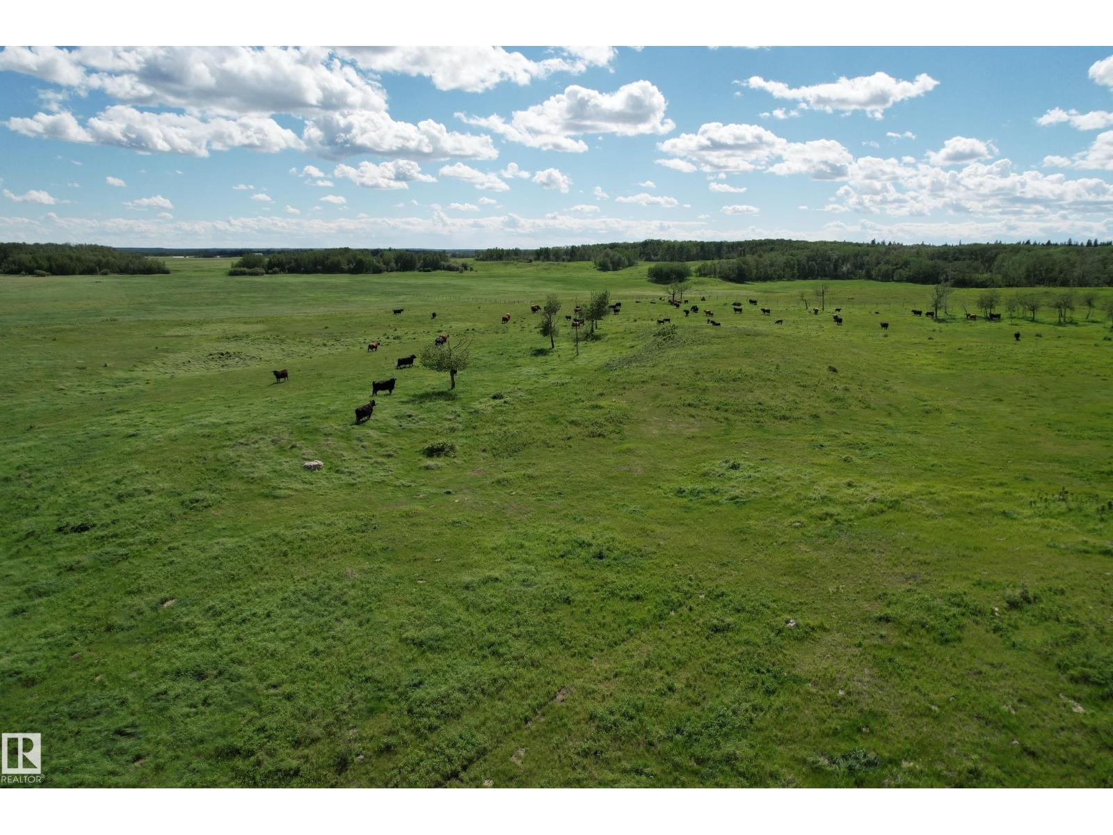 Rr 215 & Twp Rd 520, Rural Strathcona County, Alberta  T8G 1B9 - Photo 10 - E4476062