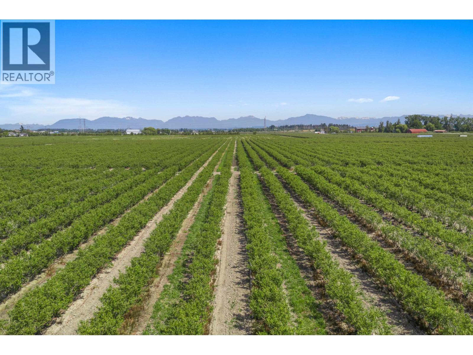 6988 Ladner Trunk Road, Delta, British Columbia  V4K 3N3 - Photo 10 - R3133359