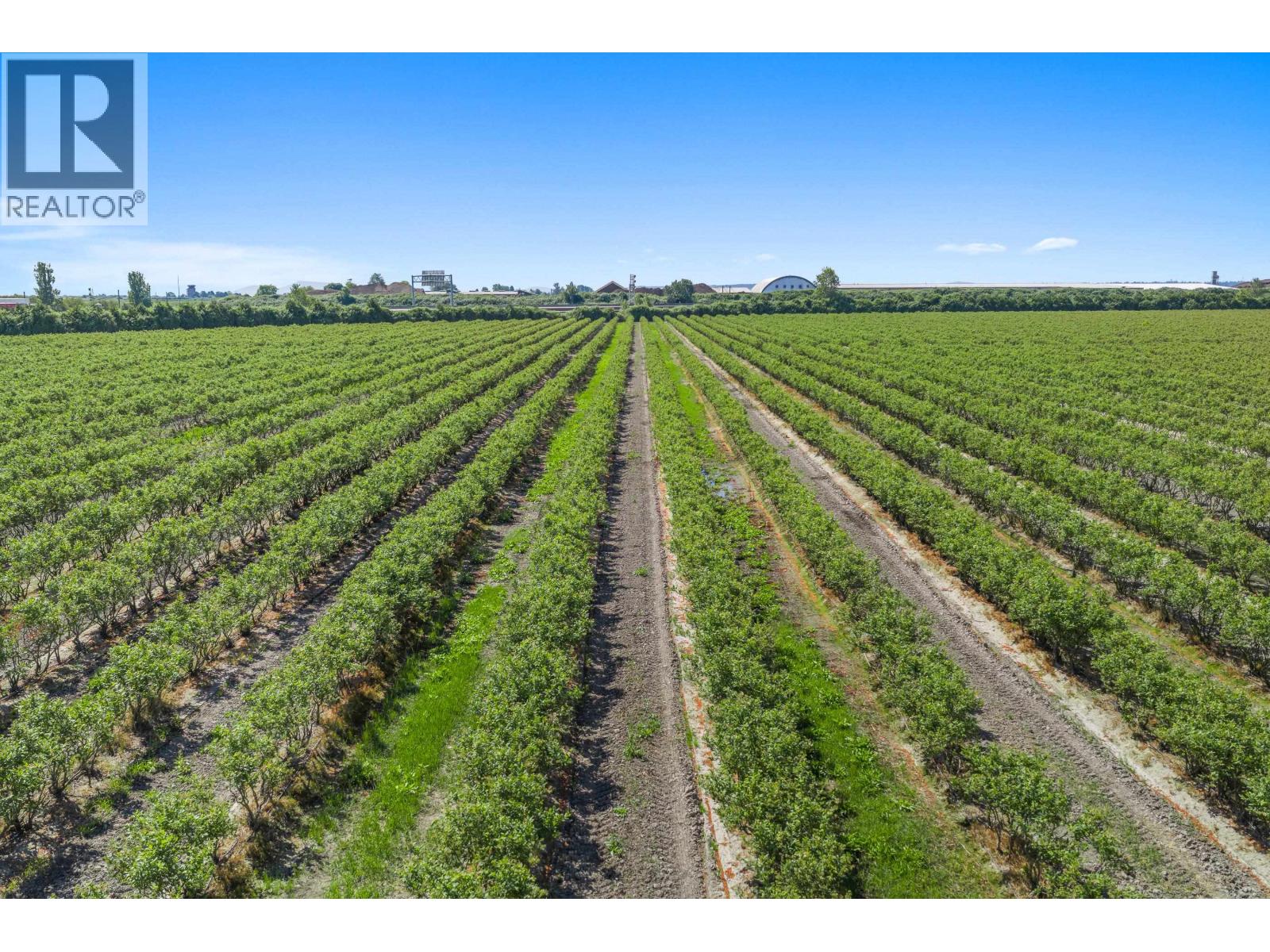 6988 Ladner Trunk Road, Delta, British Columbia  V4K 3N3 - Photo 9 - R3133359