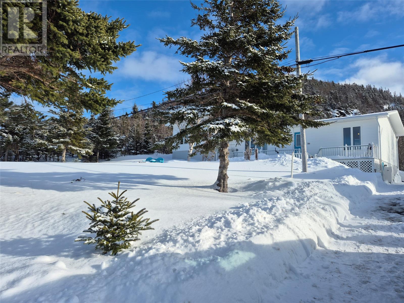 56 Main Street, Herring Neck, Newfoundland & Labrador  A0G 2R0 - Photo 11 - 1294390