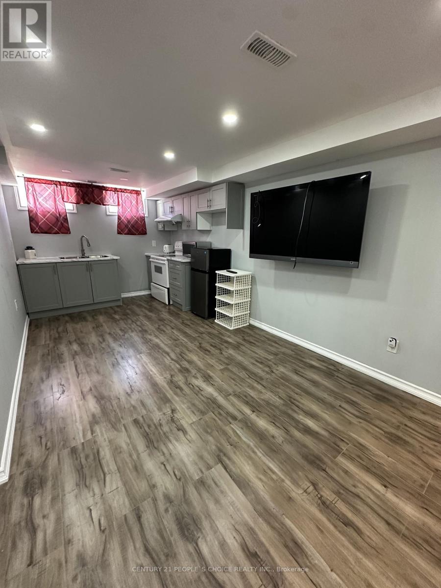 Bsmt - 233 Powell Street, Brantford, Ontario N3T 0J3 - Photo 3 - X13423222