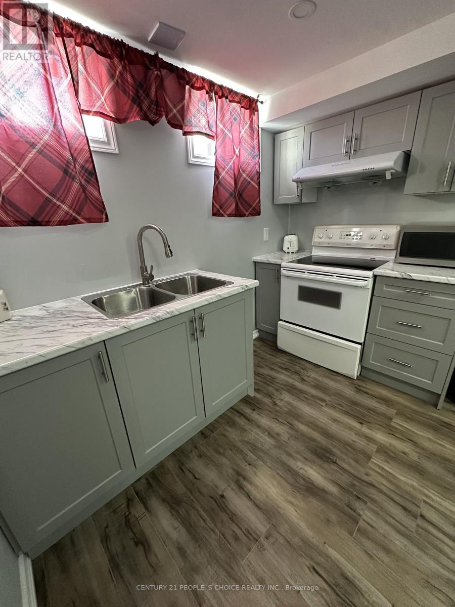 Bsmt - 233 Powell Street, Brantford, Ontario N3T 0J3 - Photo 4 - X13423222