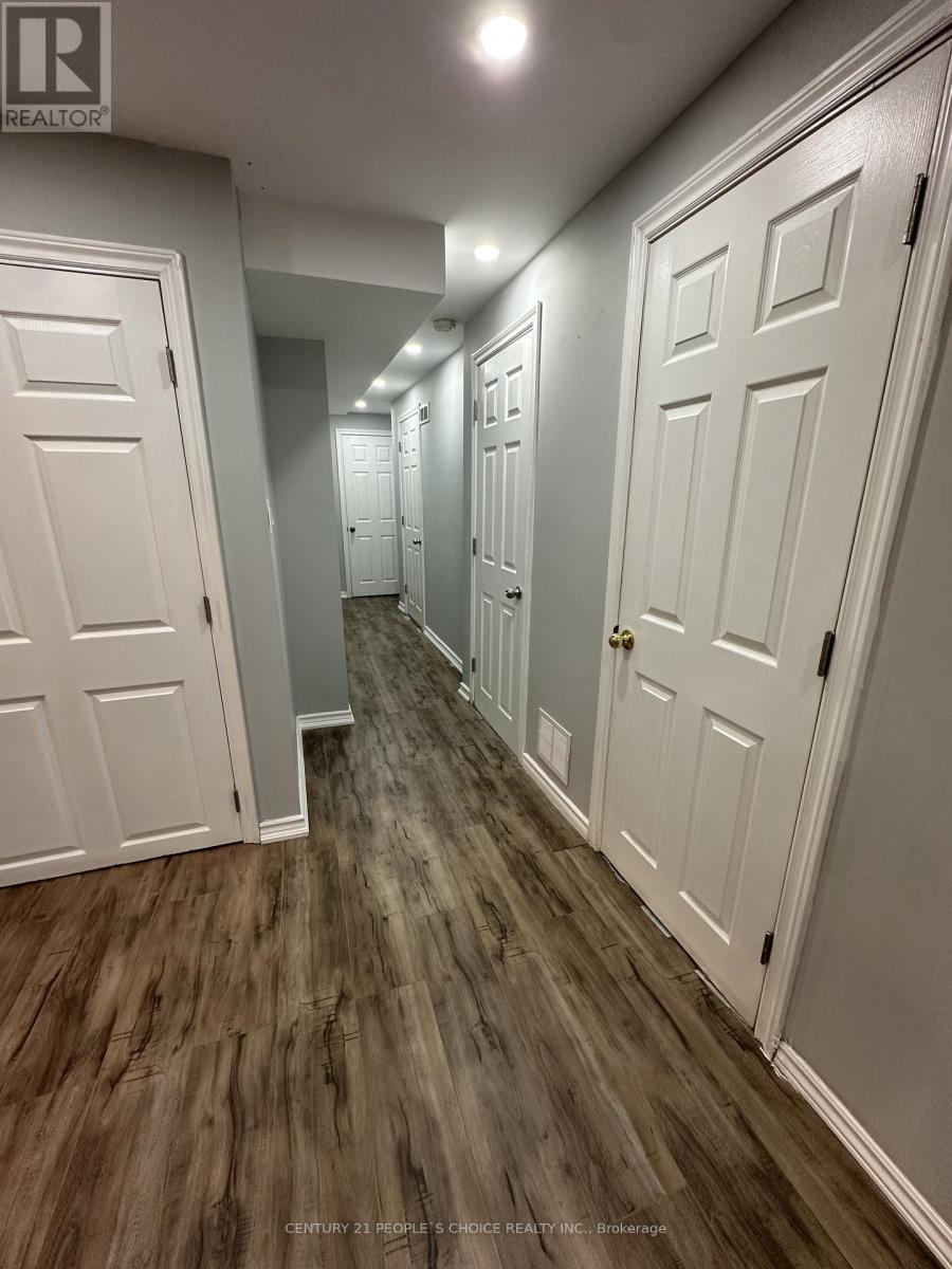 Bsmt - 233 Powell Street, Brantford, Ontario N3T 0J3 - Photo 5 - X13423222