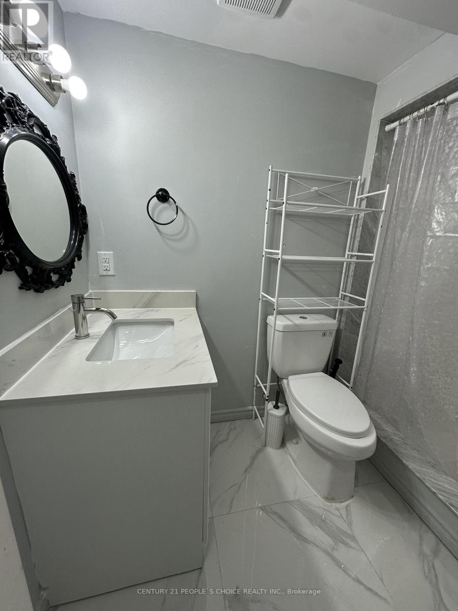 Bsmt - 233 Powell Street, Brantford, Ontario N3T 0J3 - Photo 9 - X13423222