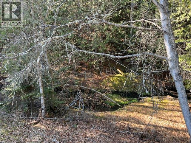 3621 Muzzy Road, Canyon, British Columbia  V0B 1C1 - Photo 6 - 10390483