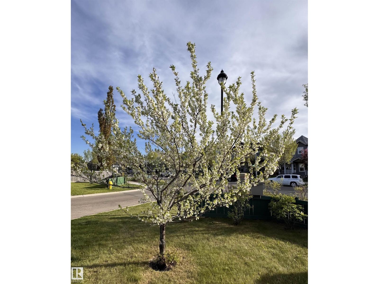 84 Clearwater Ln, Sherwood Park, Alberta  T8H 0B2 - Photo 67 - E4492613