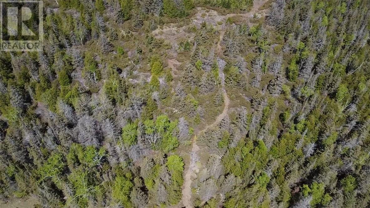 0 Cemetery Rd, Meldrum Bay, Ontario  P0P 1R0 - Photo 4 - 2128460