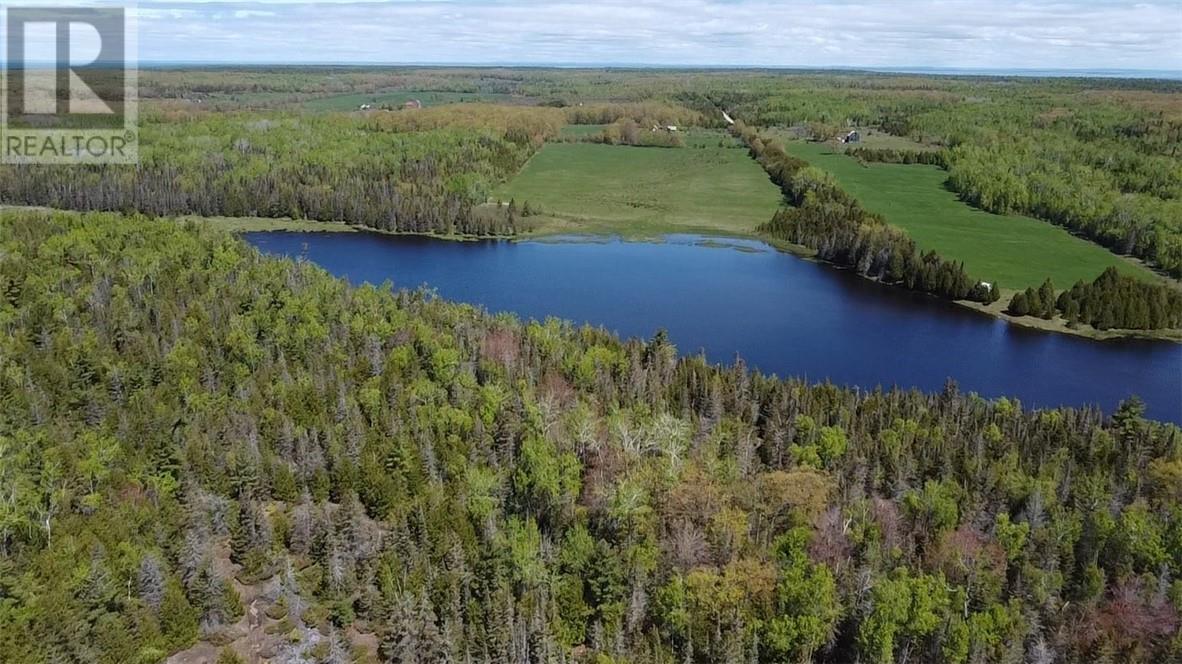 0 Cemetery Rd, Meldrum Bay, Ontario  P0P 1R0 - Photo 6 - 2128460