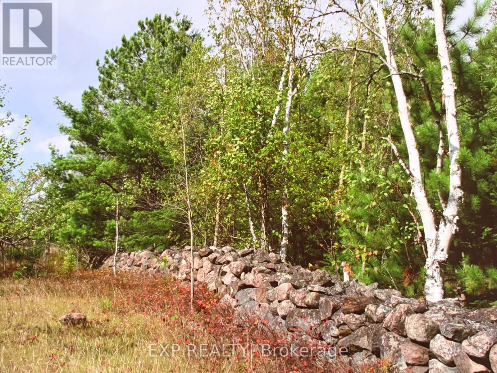 144 Trebinski Road, Madawaska Valley, Ontario  K0J 1B0 - Photo 31 - X13422430