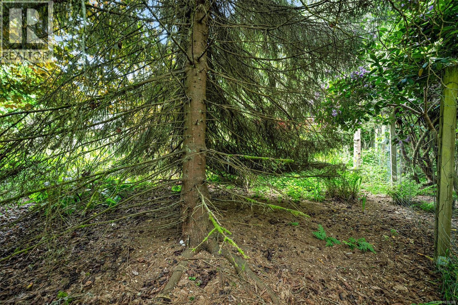 B 7095 Richview Dr, Sooke, British Columbia  V9Z 0T3 - Photo 16 - 1039306