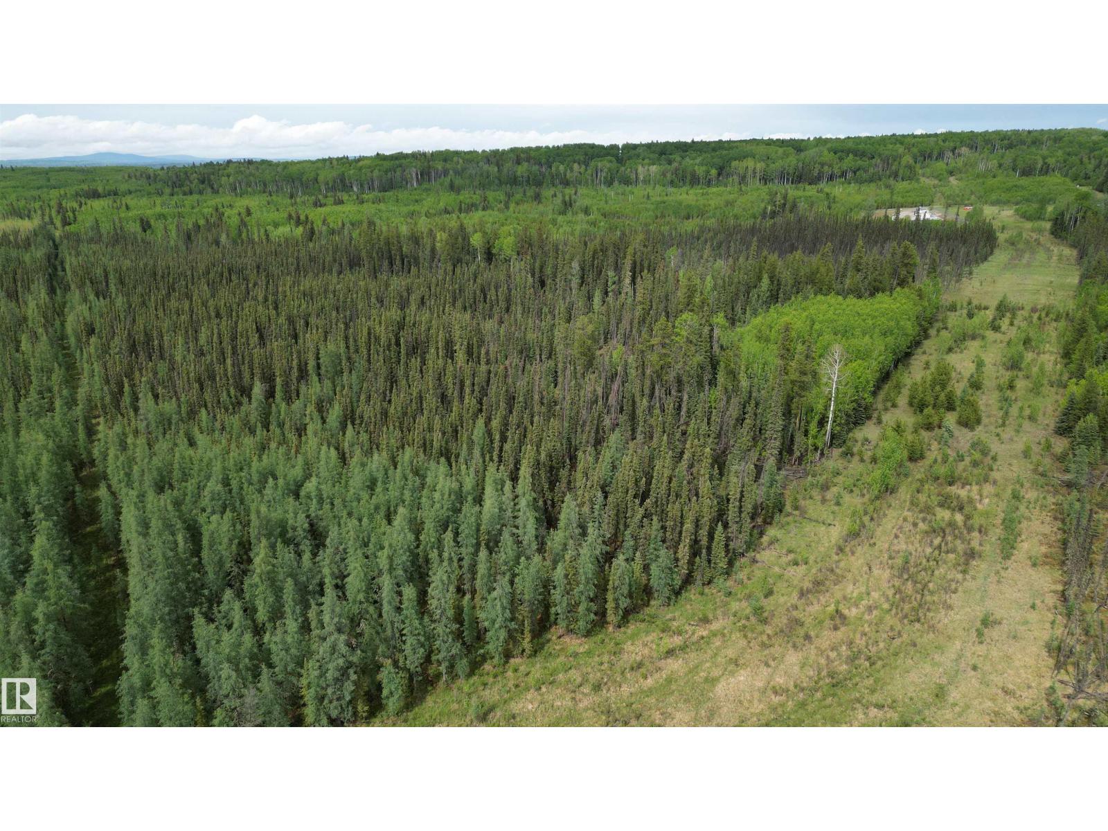 Twp Rd 542, Rural Yellowhead, Alberta  T7E 0A1 - Photo 14 - E4492188