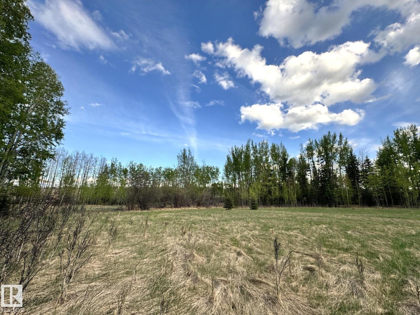 55120 Rrd 92, Rural Yellowhead, Alberta  T0E 2M0 - Photo 13 - E4492696