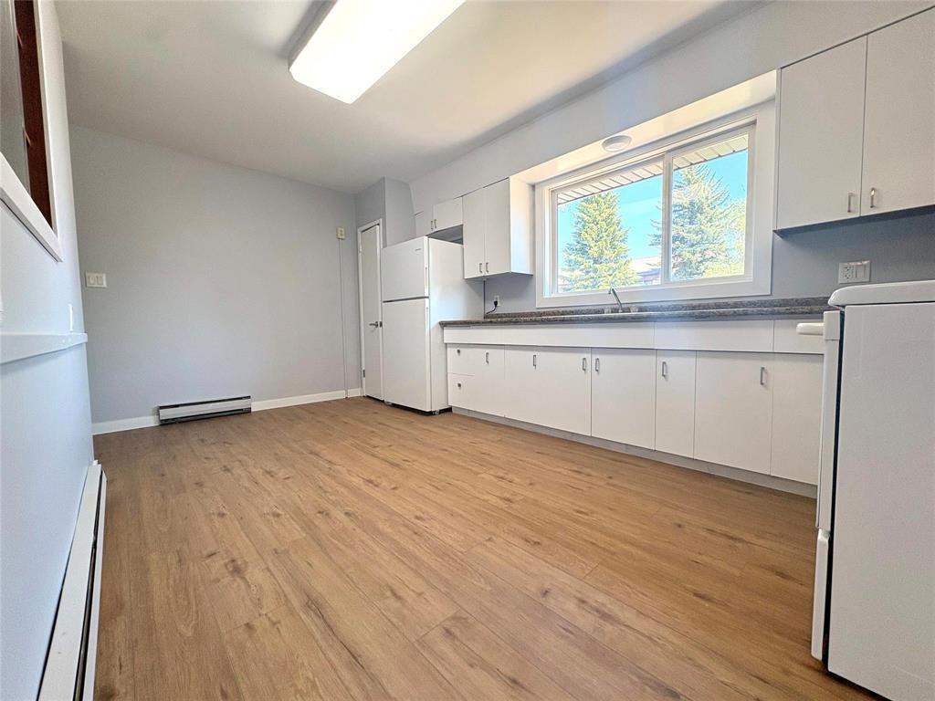 119 Lovett Street, Deloraine, Manitoba  R0M 0M0 - Photo 4 - 202613230