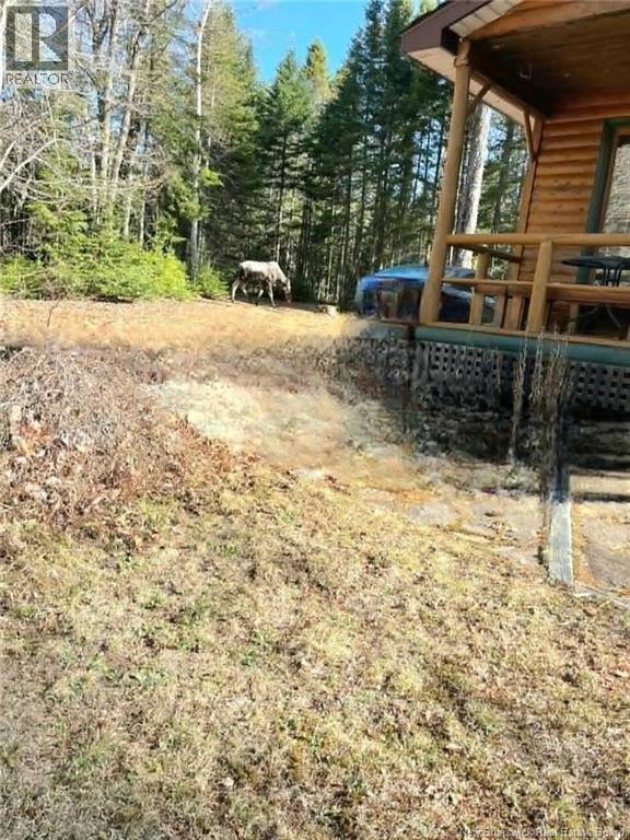 316 Gum Road, Bartibog Bridge, New Brunswick  E1V 7H6 - Photo 24 - NB141496