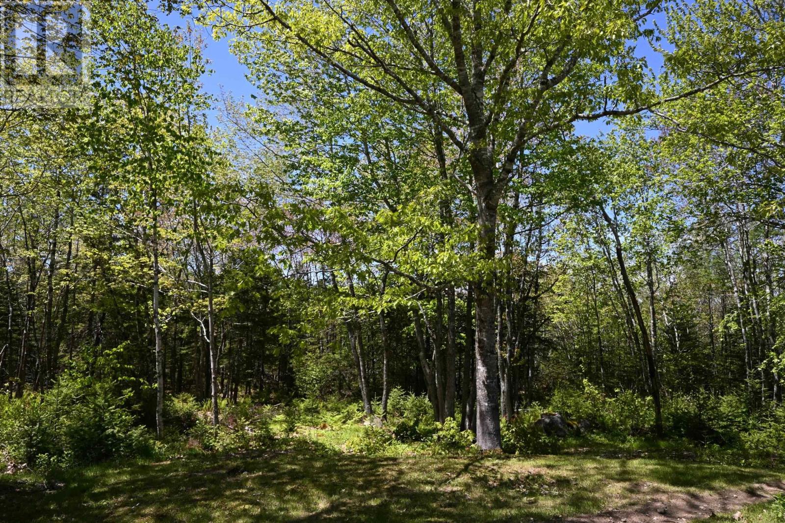 picture 38
