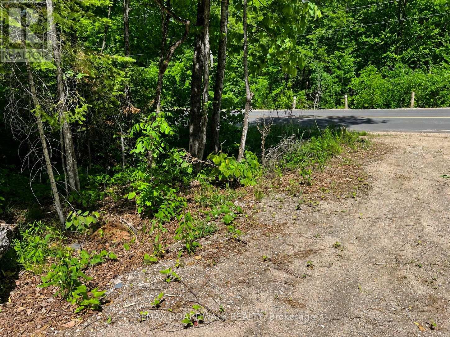 0 Buckshot Lake Road, Addington Highlands, Ontario  K0H 1K0 - Photo 4 - X13423974