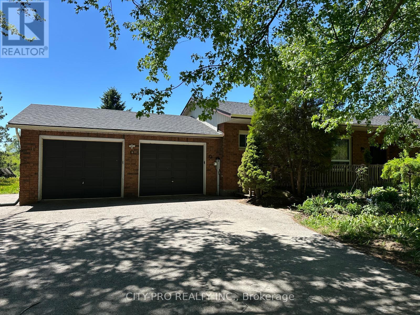 513370 2ND LINE, Amaranth