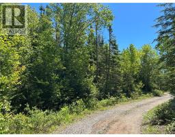 Lot Nelson Lake Road, Grand Bay-Westfield, New Brunswick