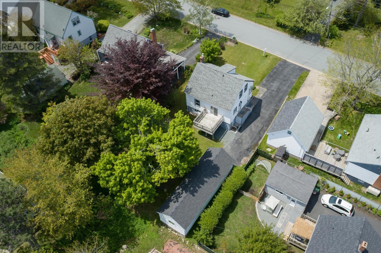 picture 40