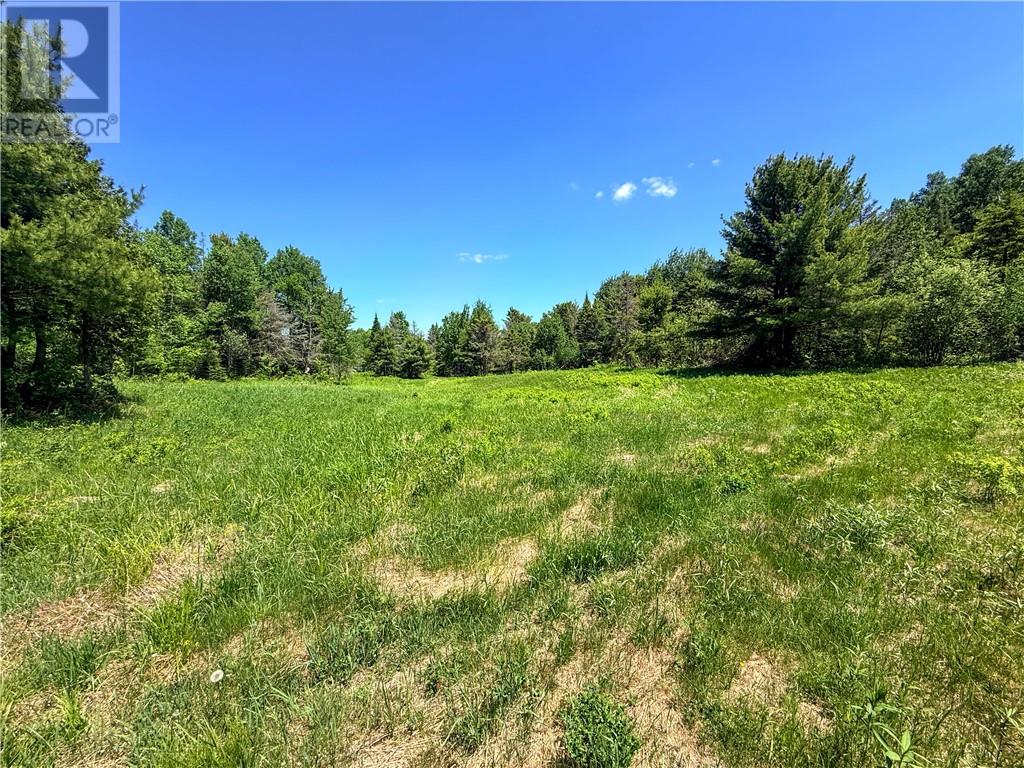 N/a Graham Road, Massey, Ontario  P0P 1P0 - Photo 11 - 2128450