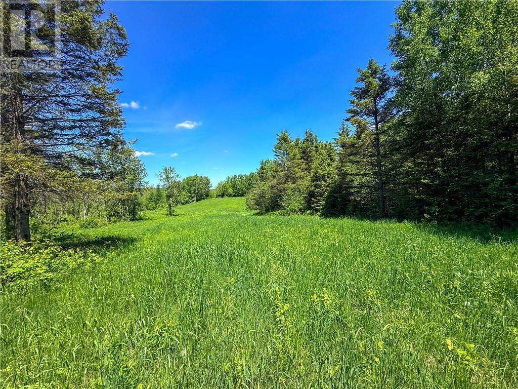 N/a Graham Road, Massey, Ontario  P0P 1P0 - Photo 13 - 2128450