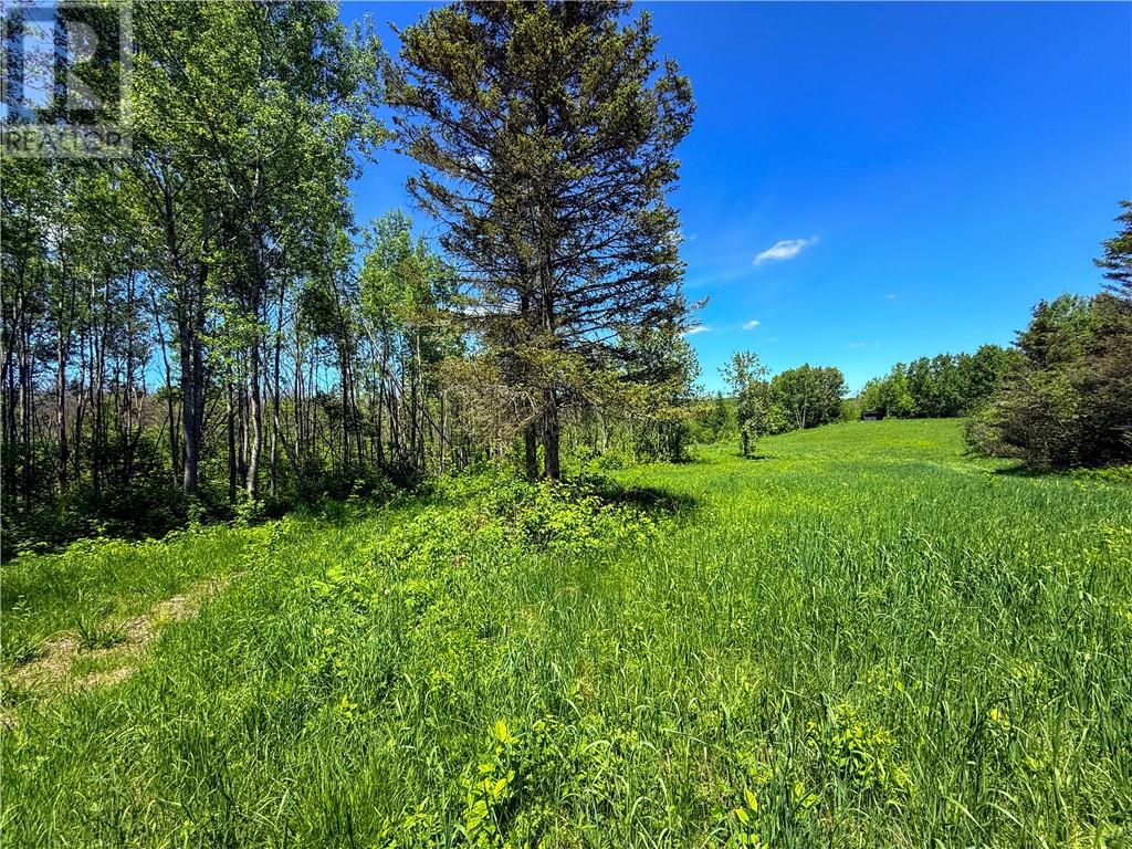 N/a Graham Road, Massey, Ontario  P0P 1P0 - Photo 14 - 2128450