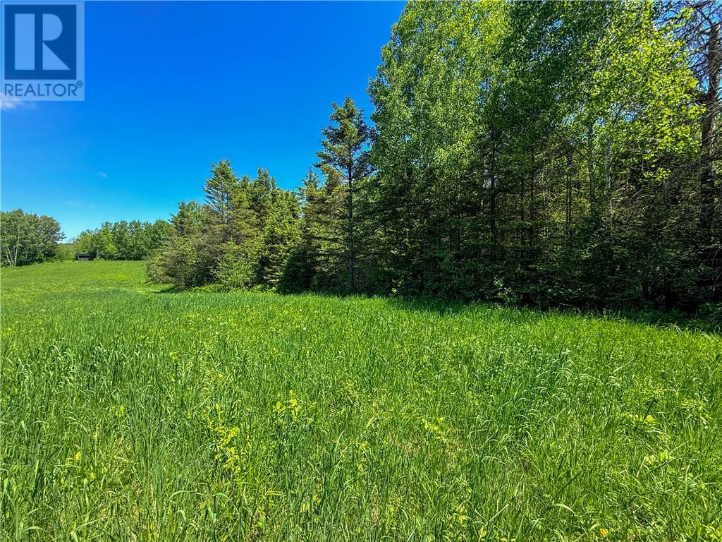 N/a Graham Road, Massey, Ontario  P0P 1P0 - Photo 15 - 2128450