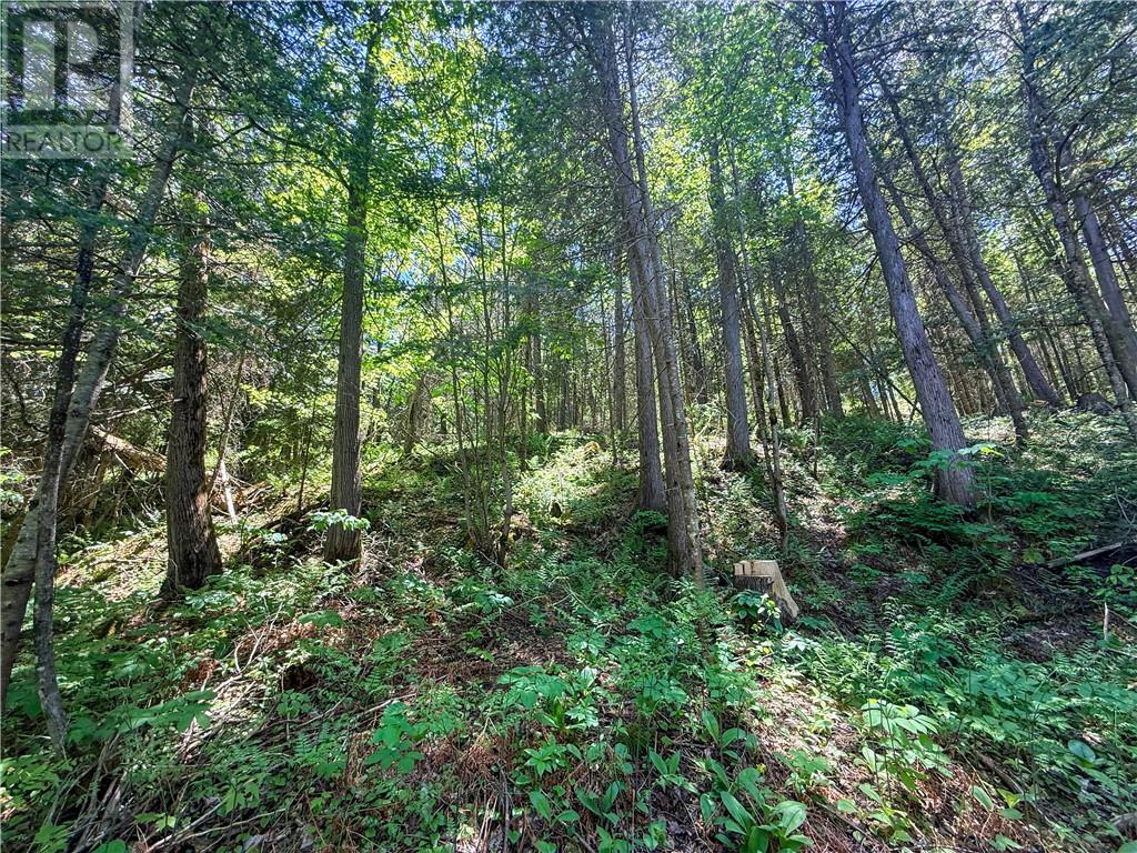 N/a Graham Road, Massey, Ontario  P0P 1P0 - Photo 16 - 2128450