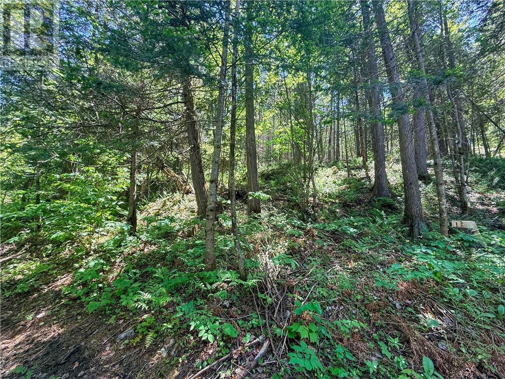 N/a Graham Road, Massey, Ontario  P0P 1P0 - Photo 17 - 2128450