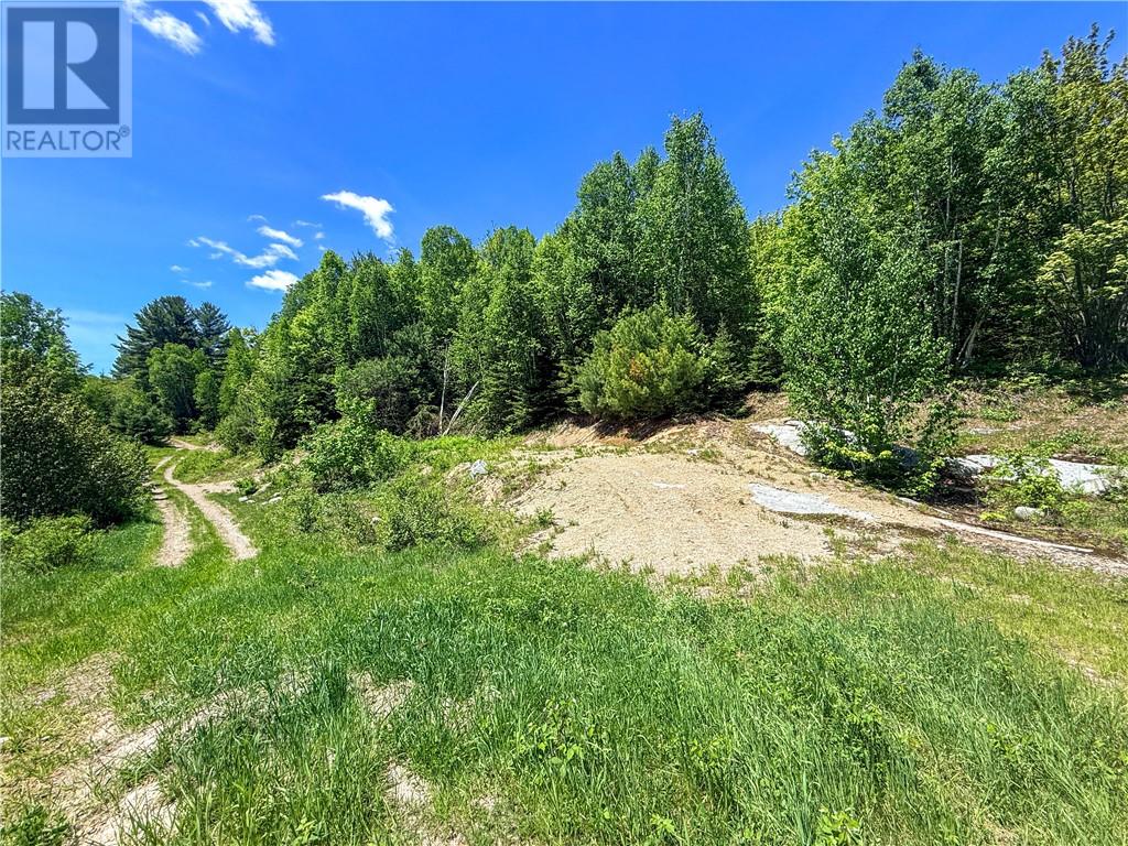 N/a Graham Road, Massey, Ontario  P0P 1P0 - Photo 18 - 2128450